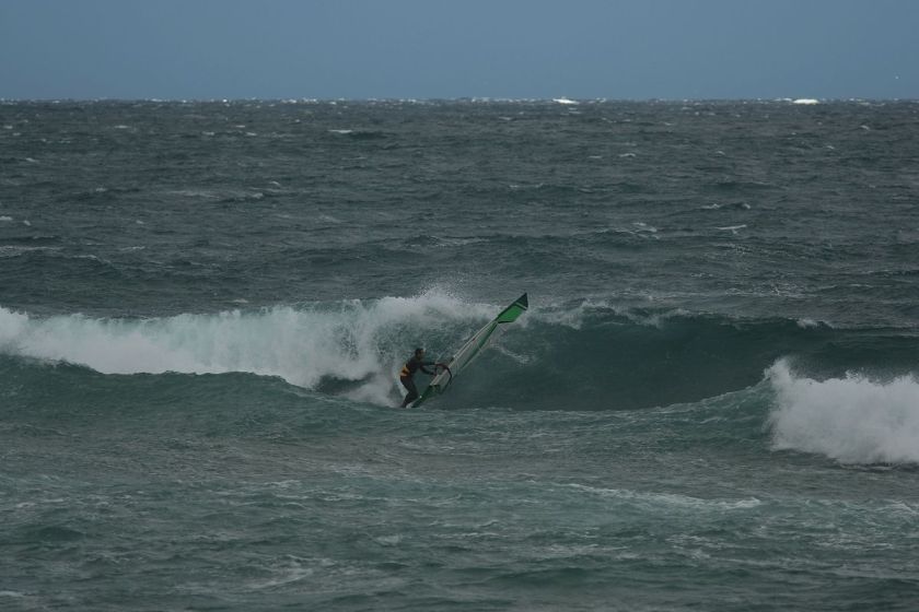 img_7134a1 img_7134a1