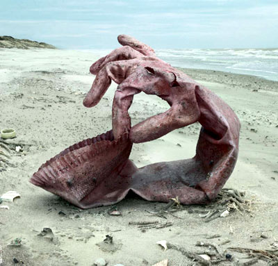 initiatives-oceanes initiatives-oceanes