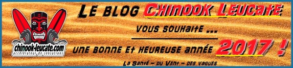 couv-blog-bonne-annee-2017