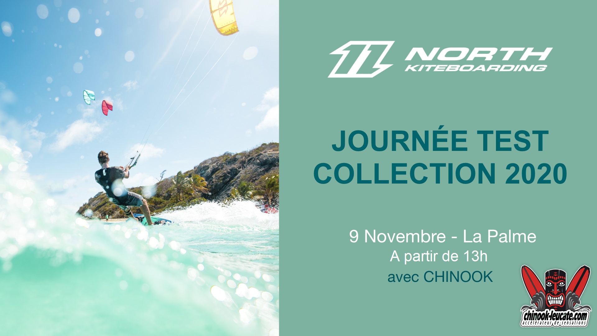 test affiche la palme. v2