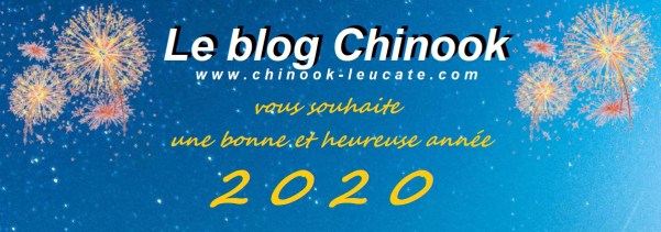 Blog bonne année 2020